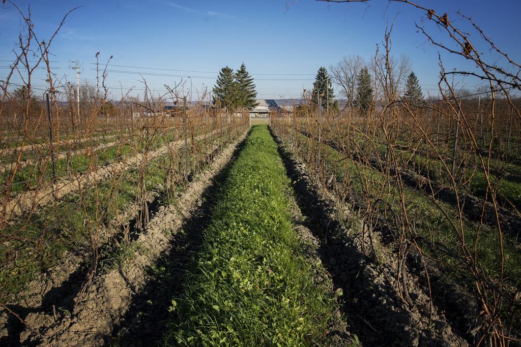 Savannah House Wine Country Inn&Cottages Himrod Bagian luar foto